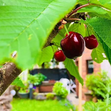 Le Jardin Paris Ивры-Сур-Сеине